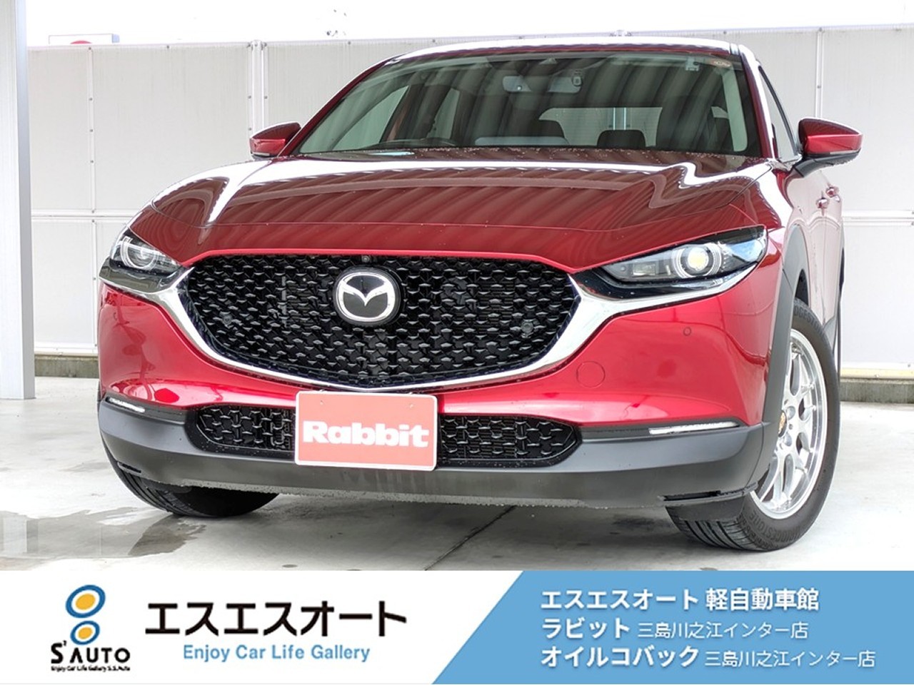 CX-30