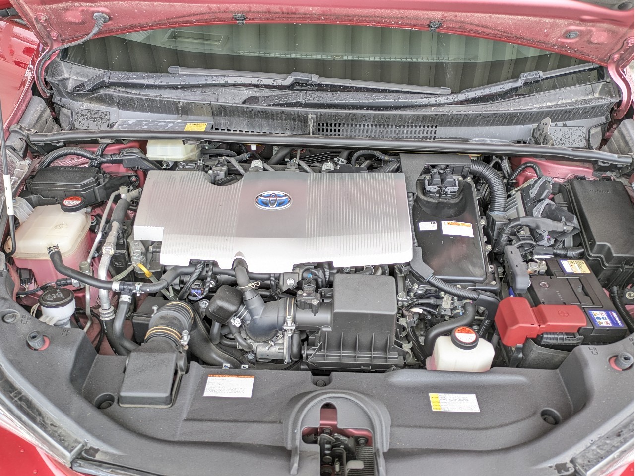 トヨタ プリウス8枚目